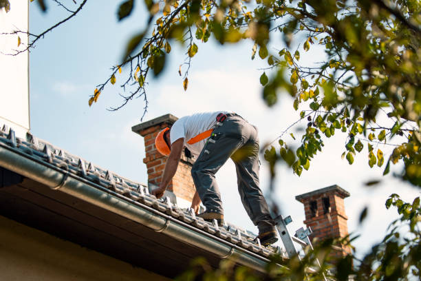 Best Roof Waterproofing  in Dunnavant, AL