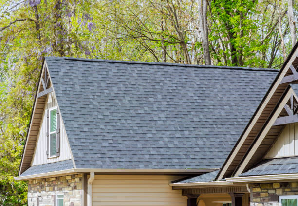 Best Gutter Installation and Repair  in Dunnavant, AL