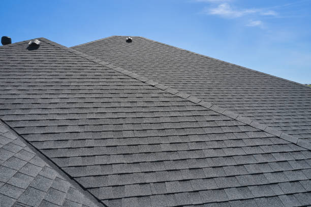 Best Gutter Installation and Repair  in Dunnavant, AL